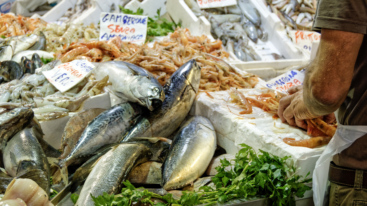 20191025 114113•Civitavecchia•Latium•Italy